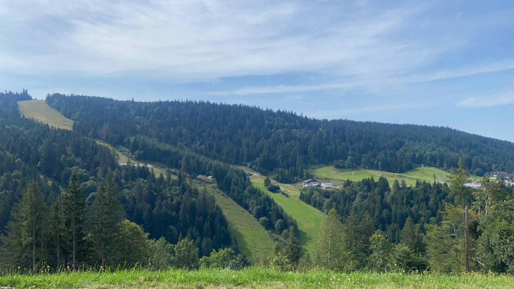 Appartement Sur Les Hauteurs De Gérardmer Eksteriør bilde